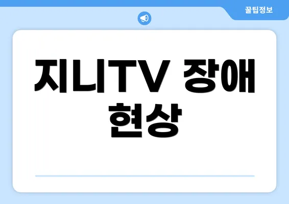 지니TV 장애 현상