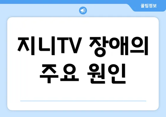 지니TV 장애의 주요 원인