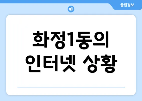 화정1동의 인터넷 상황