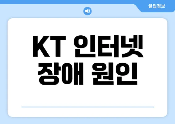 KT 인터넷 장애 원인