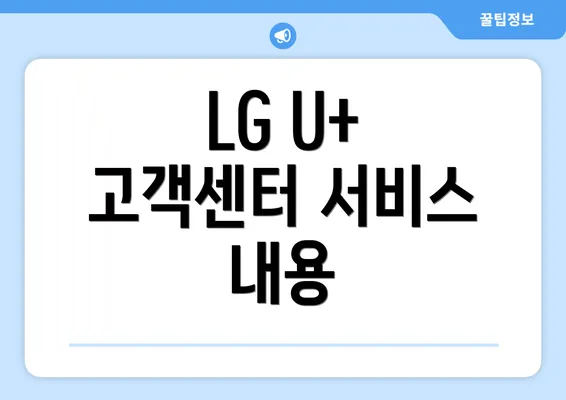 LG U+ 고객센터 서비스 내용