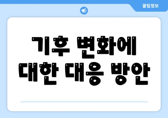 기후 변화에 대한 대응 방안