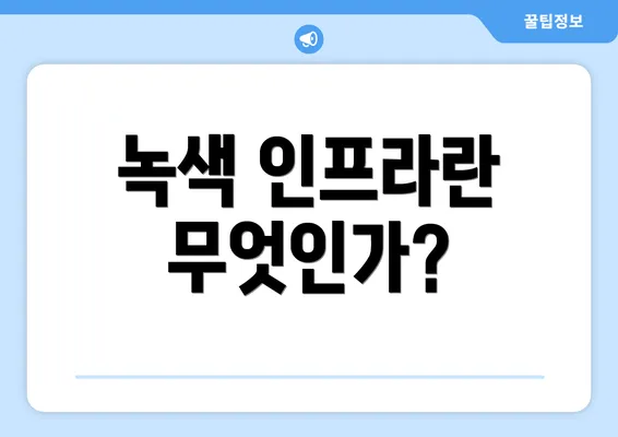 녹색 인프라란 무엇인가?