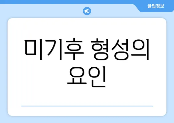 미기후 형성의 요인