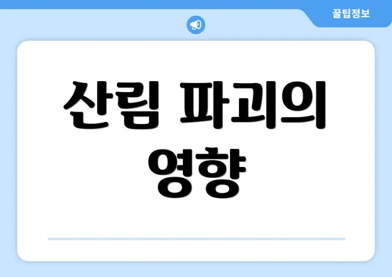 산림 파괴의 영향