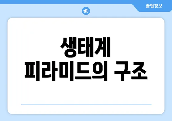 생태계 피라미드의 구조