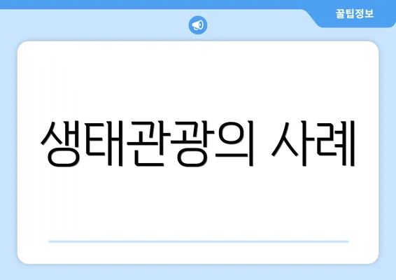 생태관광의 사례