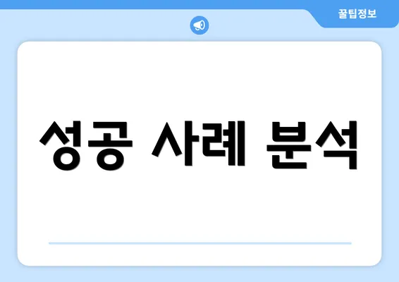 성공 사례 분석