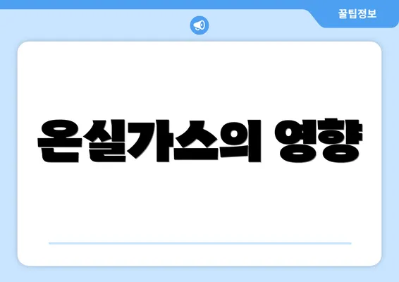 온실가스의 영향