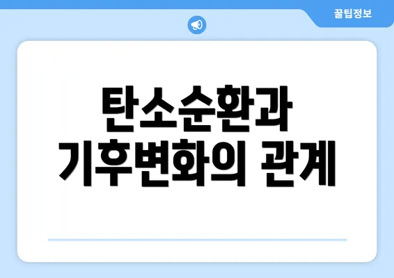 탄소순환과 기후변화의 관계