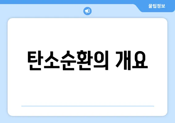탄소순환의 개요
