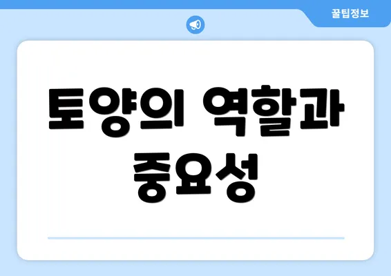 토양의 역할과 중요성