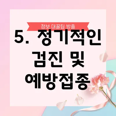 5. 정기적인 검진 및 예방접종