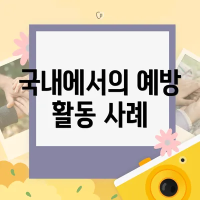 국내에서의 예방 활동 사례