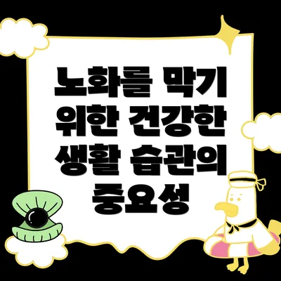 노화를 막기 위한 건강한 생활 습관의 중요성