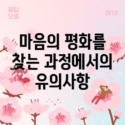 마음의 평화를 찾는 과정에서의 유의사항
