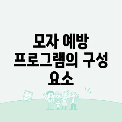 모자 예방 프로그램의 구성 요소