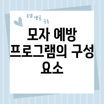 모자 예방 프로그램의 구성 요소