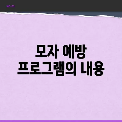 모자 예방 프로그램의 내용