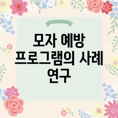 모자 예방 프로그램의 사례 연구