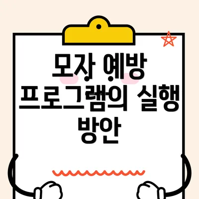 모자 예방 프로그램의 실행 방안