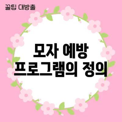 모자 예방 프로그램의 정의