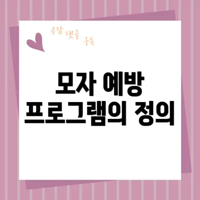 모자 예방 프로그램의 정의