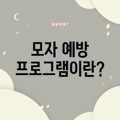 모자 예방 프로그램이란?