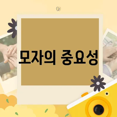 모자의 중요성