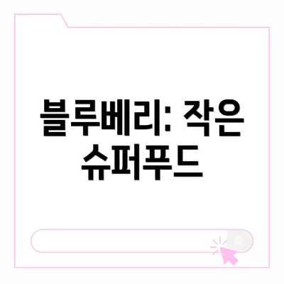 블루베리: 작은 슈퍼푸드