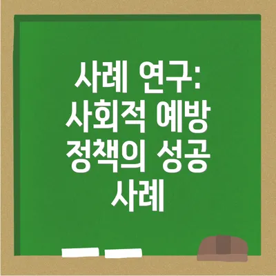 사례 연구: 사회적 예방 정책의 성공 사례