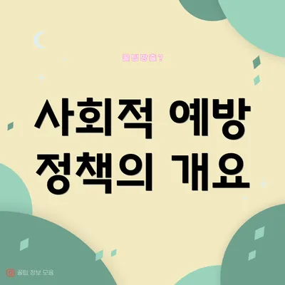 사회적 예방 정책의 개요