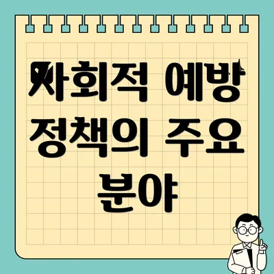 사회적 예방 정책의 주요 분야