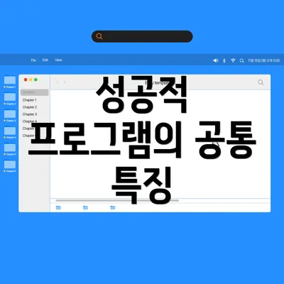 성공적 프로그램의 공통 특징