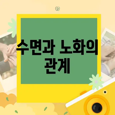 수면과 노화의 관계
