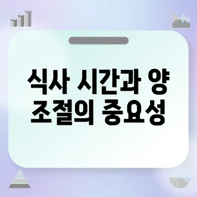 식사 시간과 양 조절의 중요성