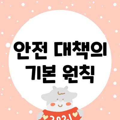 안전 대책의 기본 원칙