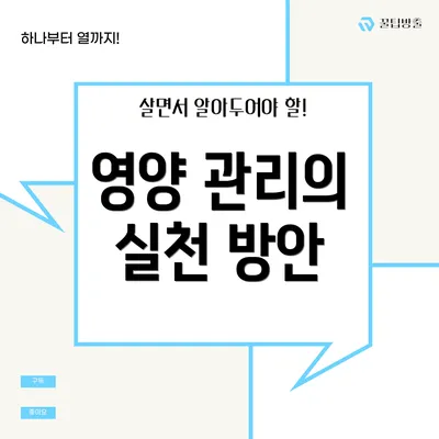 영양 관리의 실천 방안