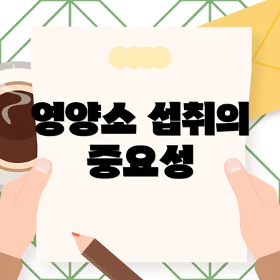 영양소 섭취의 중요성