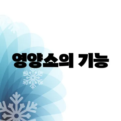 영양소의 기능