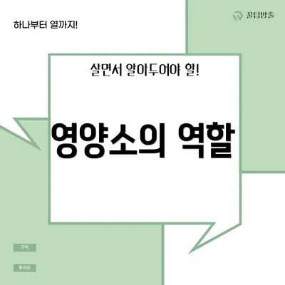 영양소의 역할