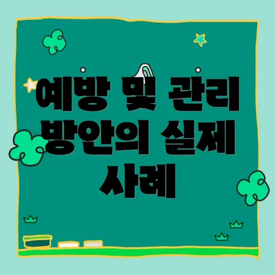 예방 및 관리 방안의 실제 사례