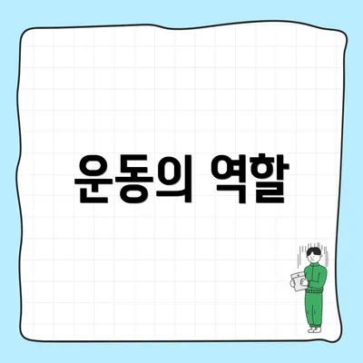 운동의 역할