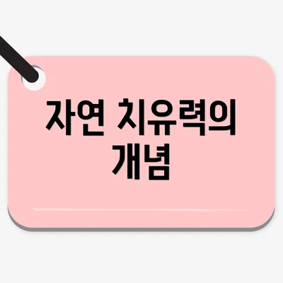 자연 치유력의 개념