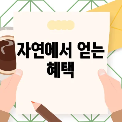 자연에서 얻는 혜택