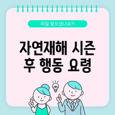 자연재해 시즌 후 행동 요령