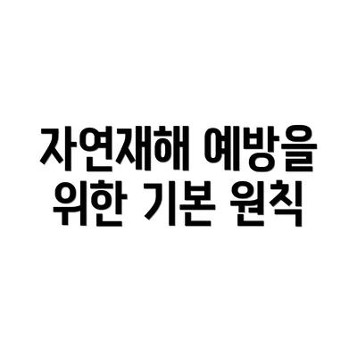 자연재해 예방을 위한 기본 원칙