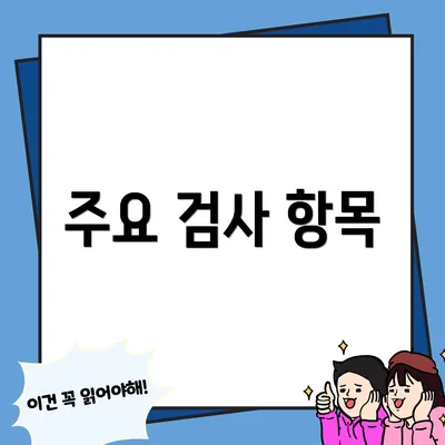 주요 검사 항목