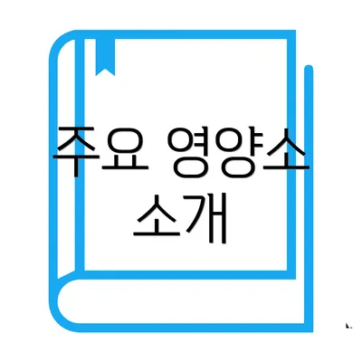 주요 영양소 소개