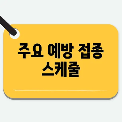 주요 예방 접종 스케줄